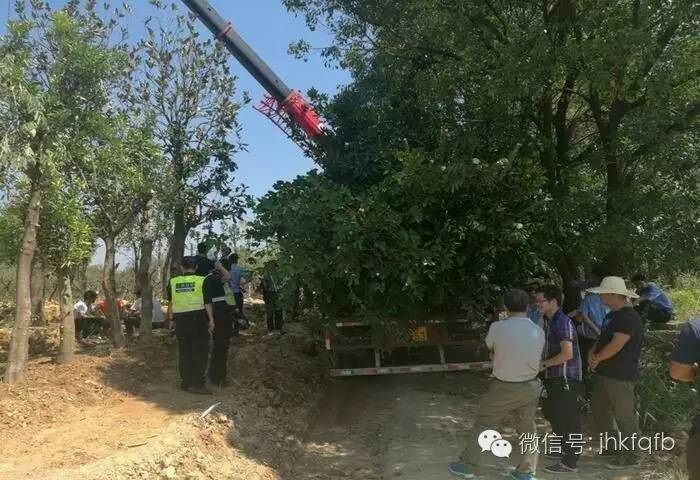 三百竞赛部门快速行动开发区全力推动“三百”竞赛活动攻坚