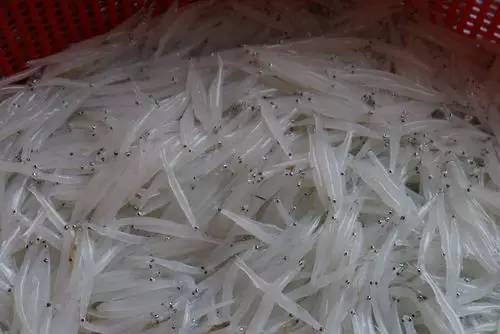 广西最有影响力的7个县,广西优秀的领会榜样