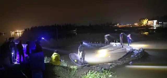 顺德禾虫吃起来是什么感觉,佛山哪里有禾虫吃