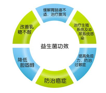 品牌酸奶都有什么,不同牌子的酸奶