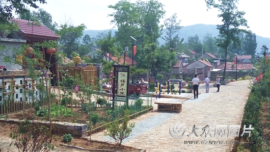 丙申扶贫记（2）一剂脱贫药方让她笑着哭