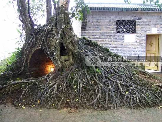 广西最有影响力的7个县,广西优秀的领会榜样