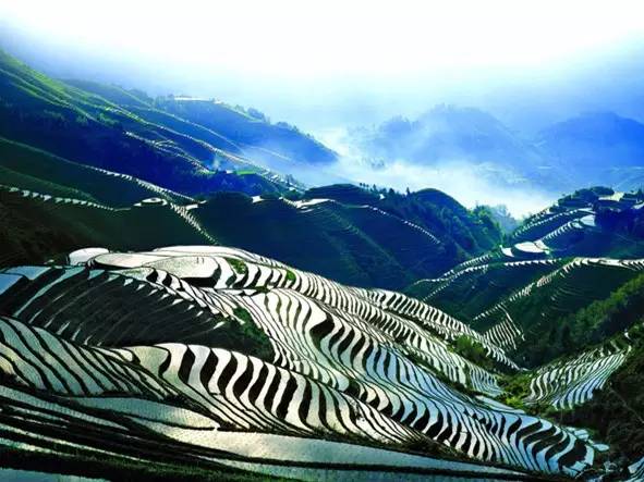 广西最有影响力的7个县,广西优秀的领会榜样