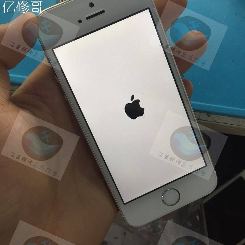 维修记录iphone,苹果5s一直白苹果蓝屏