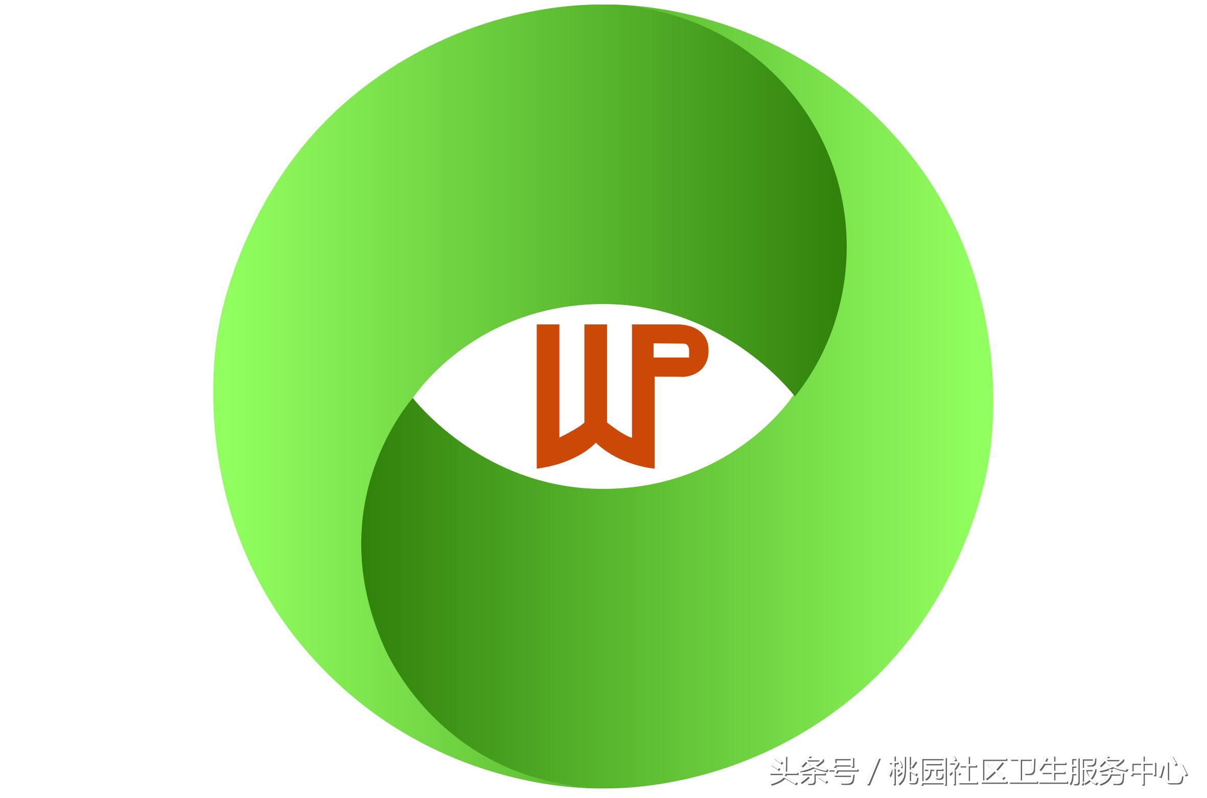 房颤患者一定要知道的3个时间段,房颤指南全集