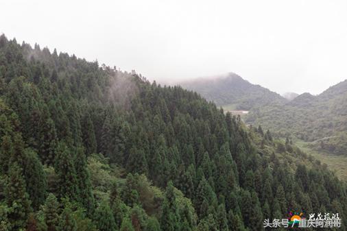 四川兴茂和重庆兴茂,重庆兴茂旅游景点