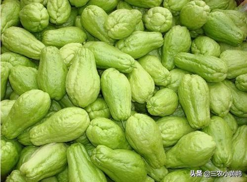 合手瓜怎么煮,可以做菜又可以当水果吃的瓜