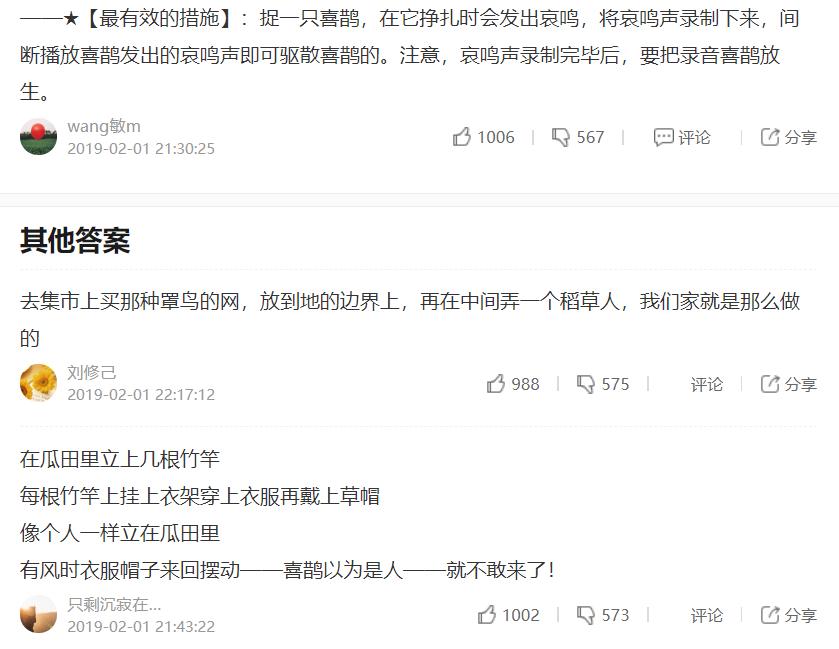 喜鹊的主要特征有哪些,喜鹊的八大特征