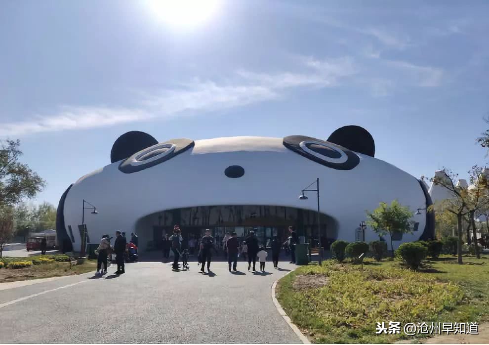 沧州旅游攻略必玩的景点冬天,沧州游玩攻略必去景点