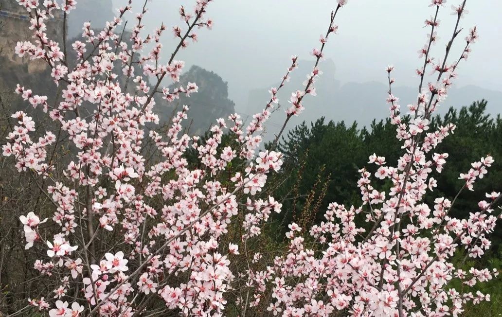巍巍太行山山峰险峻,太行山奇峰峻岭