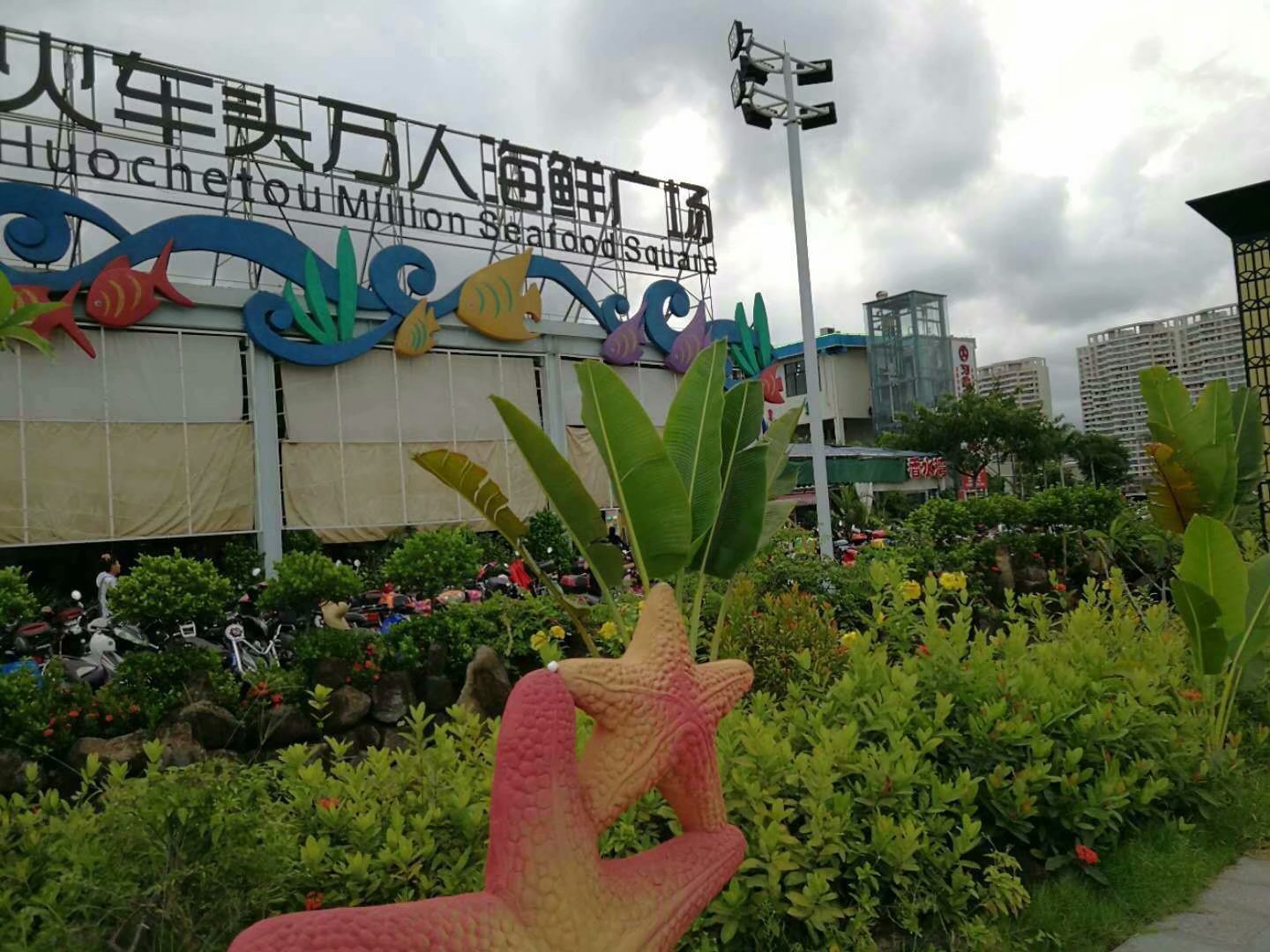 在这个阳光明媚的春季,在这个阳光灿烂的日子里