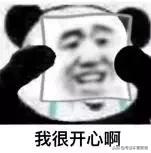 仓鼠没有尾巴,我是一只幸运的小仓鼠
