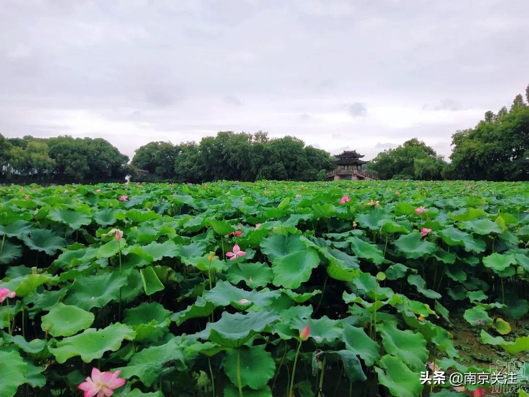 中国最美高铁线路沿途风景,中国最美高铁旅游线路