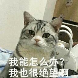 别再被忽悠了的神剧,国外最新网红产品