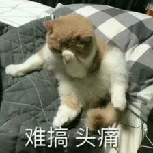 关于口红的那些事儿,关于口红的刁钻问题