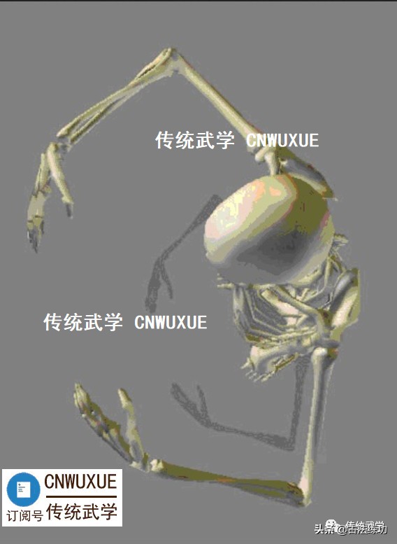以武入道站桩,站桩如何入道