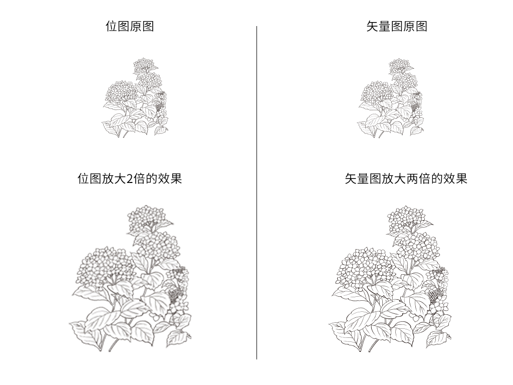 如何快速的领会PhotoshopCC2021，从小白变大神