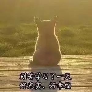 写作加油站：有了这些替换词，作文瞬间高大上！——动词篇