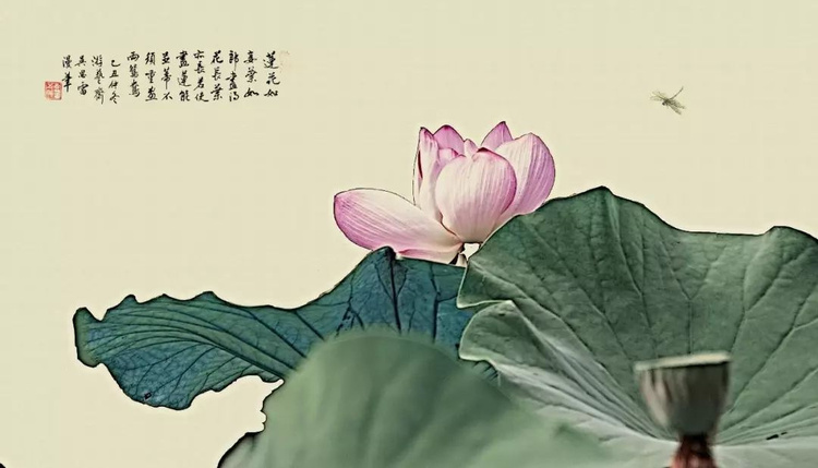 拍照图片加字教程,拍照片加文字技巧
