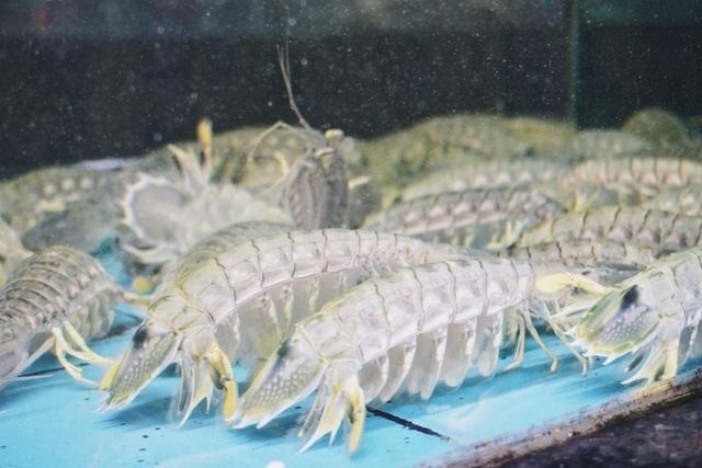 海南三亚旅游去哪里购物好点呢,海南旅游购物攻略最新