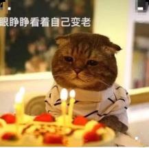 成年人的崩溃也得选对时间,成年人的崩溃情绪该如何治愈