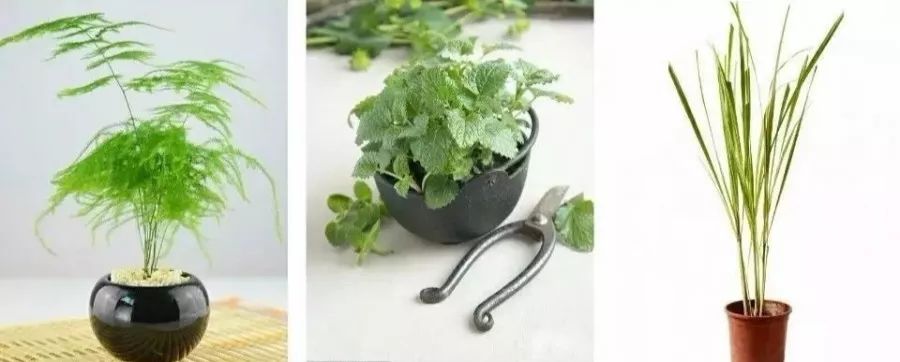 3岁孩子误食了药品属于意外吗,小孩误食绿植肥料怎么办