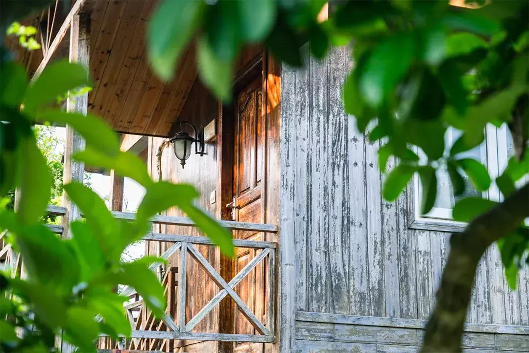 大鹏杨梅坑景区,杨梅坑旅游景点