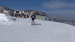 初学双板滑雪基本动作,双板滑雪基本姿势教学