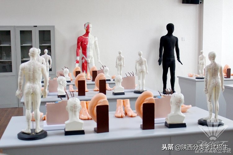 西安海棠职业学院学费,西安海棠职业学院报名
