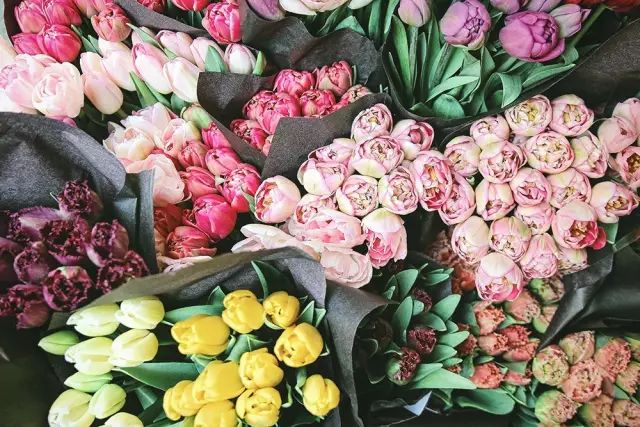 花店里买回来的鲜花怎么放更长久,花店鲜花如何保存时间可以比较长