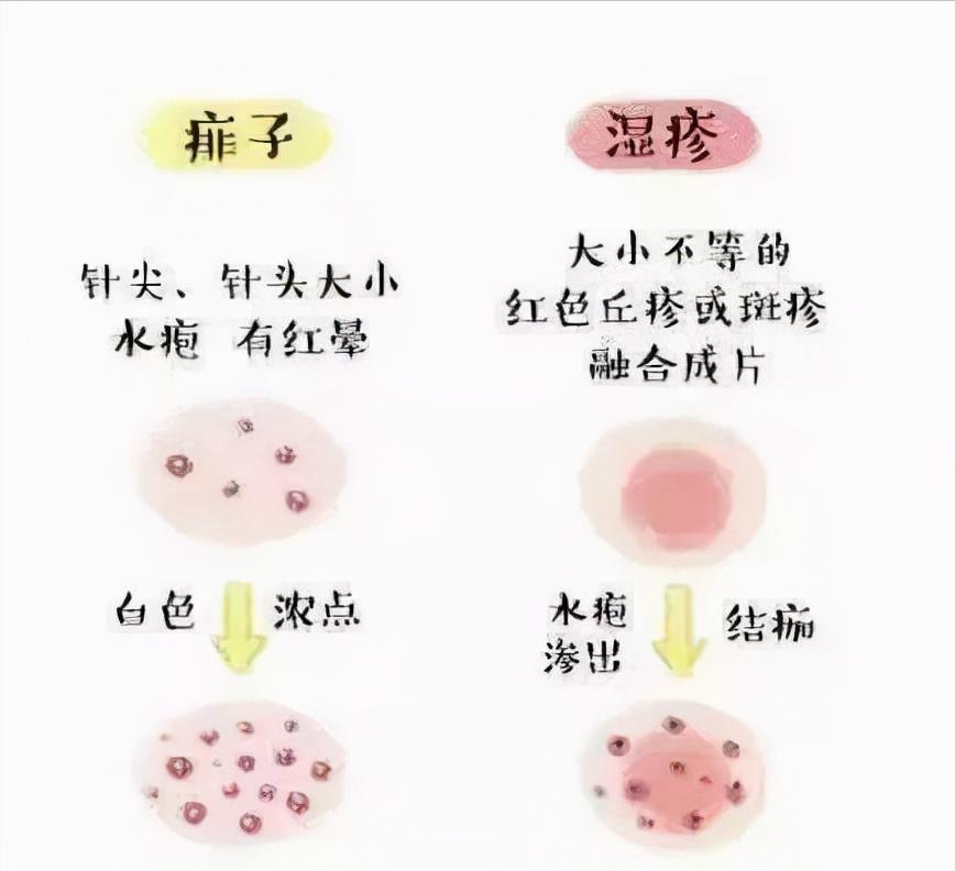 养娃小妙招视频课,养娃不生病小妙招