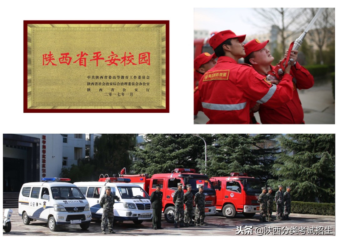 西安海棠职业学院学费,西安海棠职业学院报名