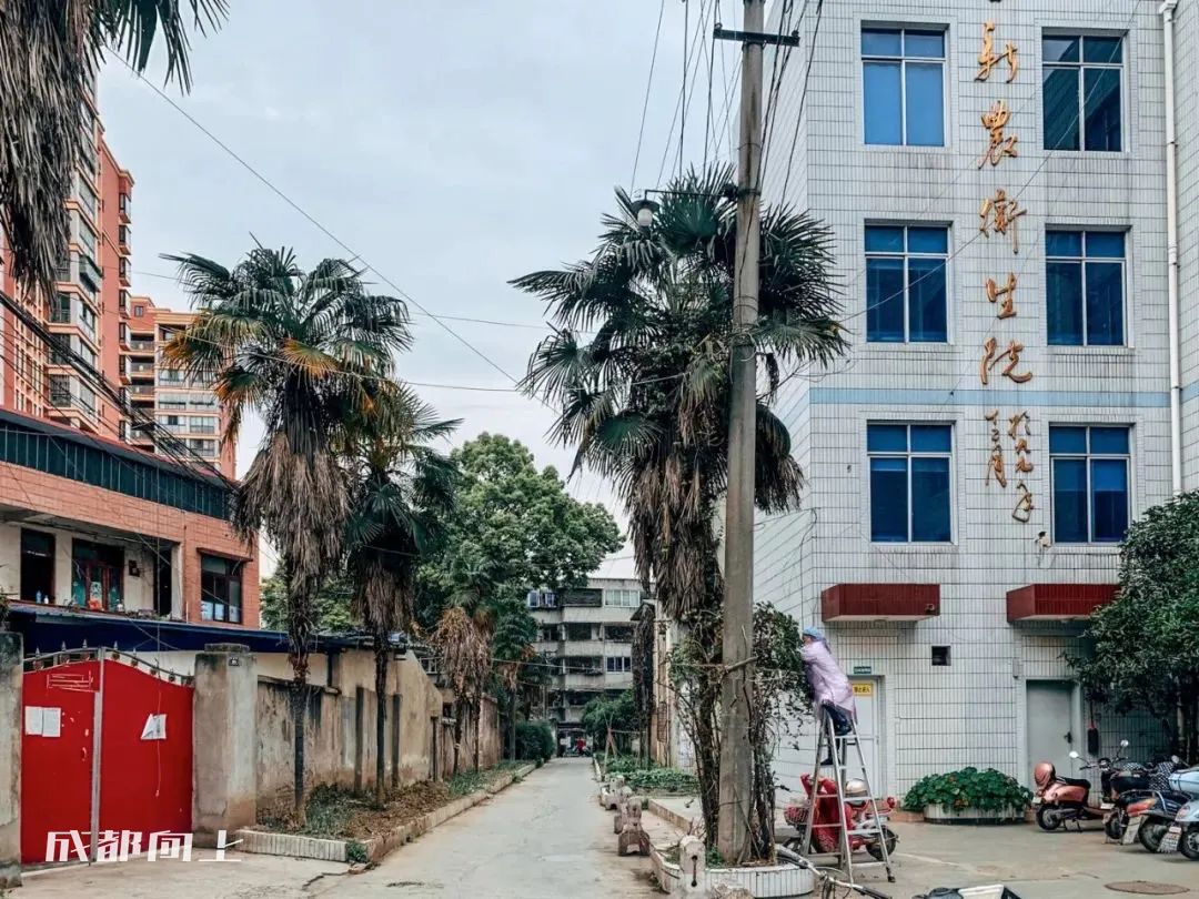 新繁现状,新繁为什么发展不起来