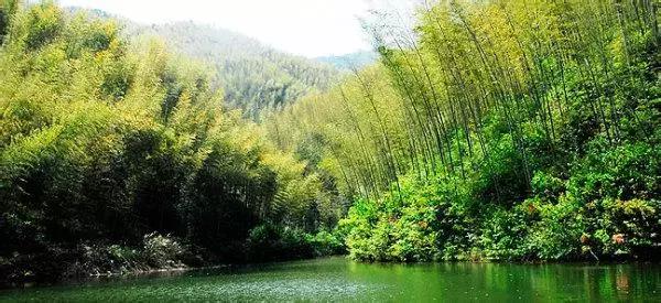 新安江山水画廊景区打卡景点,新安江山水画廊景区九砂晒秋节