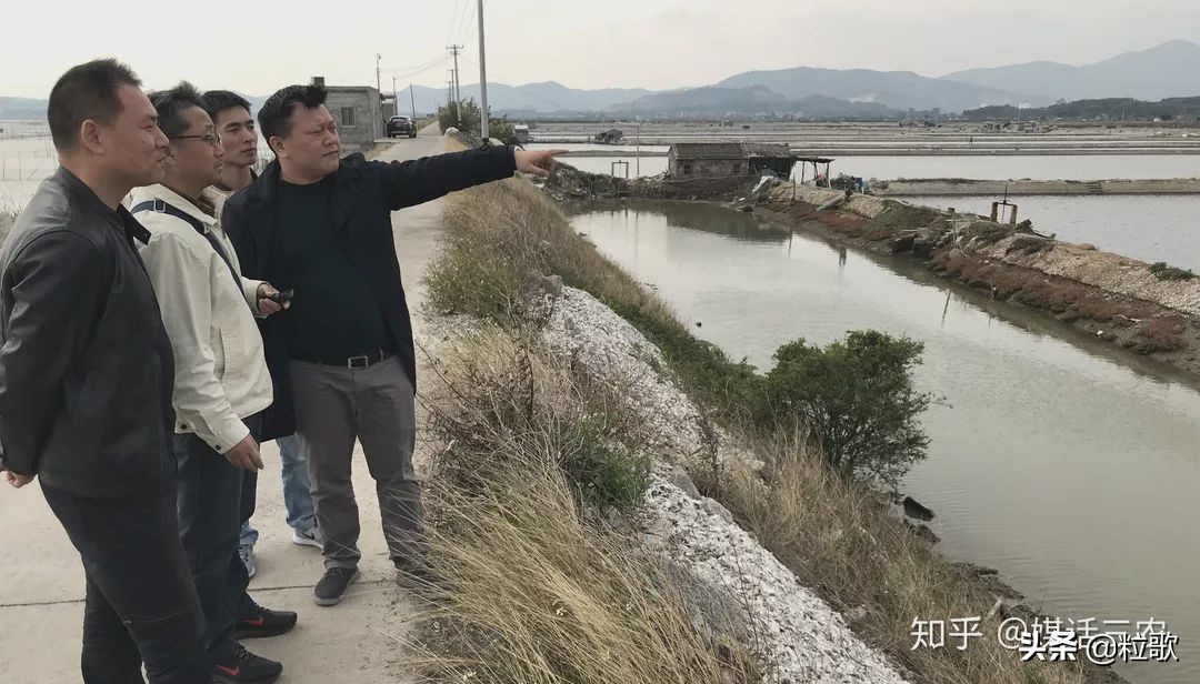 玛塔牡蛎钙对盐碱地的作用,玛塔牡蛎