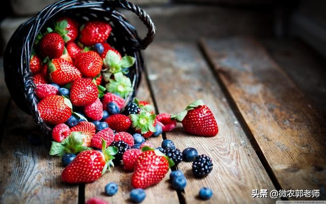 什么是生态农业通俗易懂,什么是生态经济发展