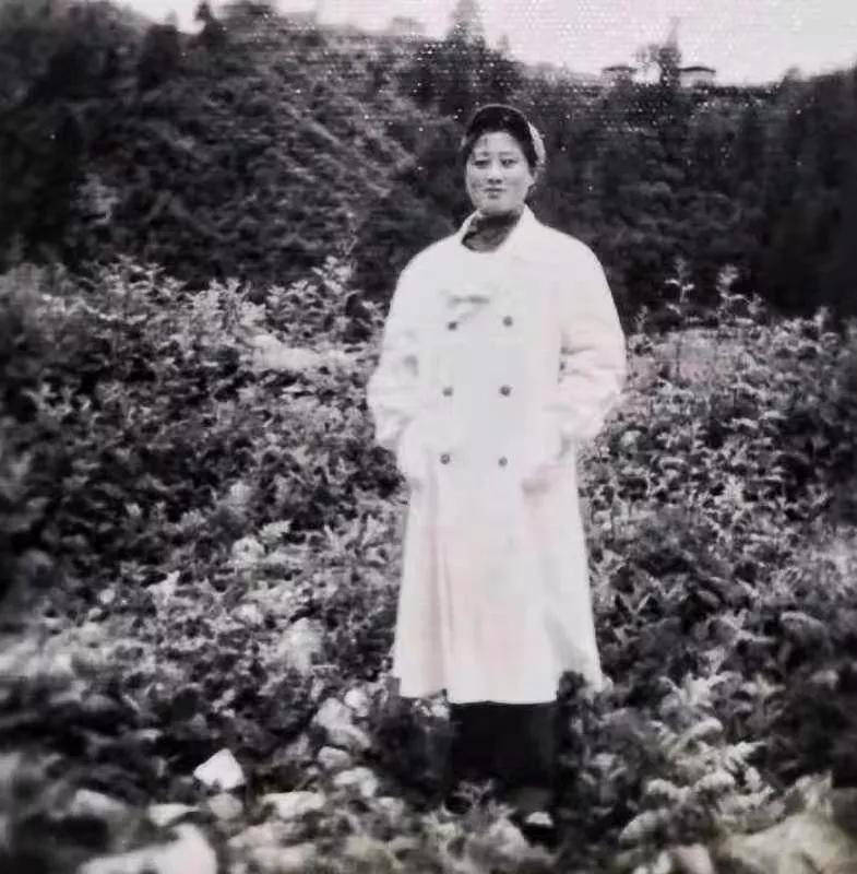 在*藏西**，我们的第三*战野**医院，我们的芳华……