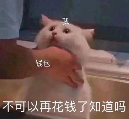 搞笑gif开心一刻原来高手在民间,搞笑gif你大爷果然还是你大爷