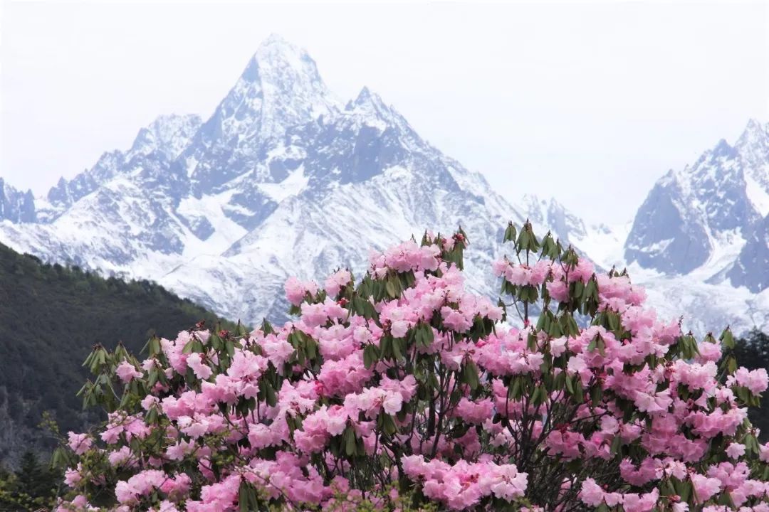 一座比珠穆朗玛峰还难登的雪山,有一座山比珠穆朗玛峰还要高