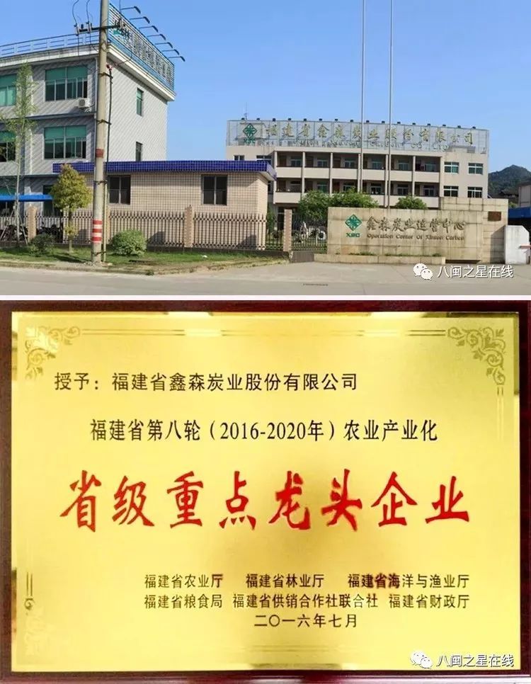 福建省鑫森炭业,福建省鑫森炭业股份有限公司