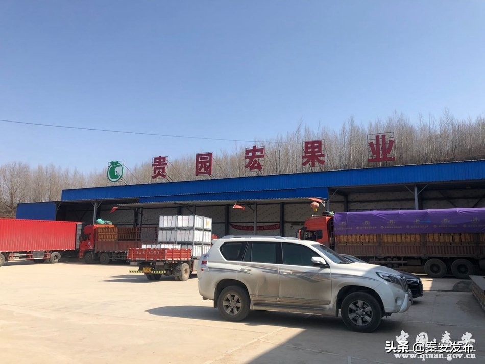 【脱贫致富带头人】何义义：返乡创业感恩故土投资办厂造福桑梓
