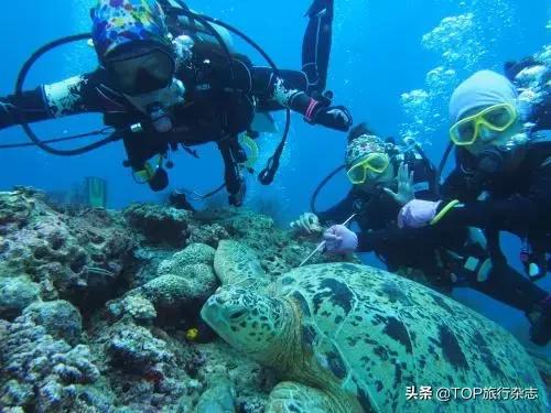 6月国内往返特价机票,6月机票便宜适合旅游的地方