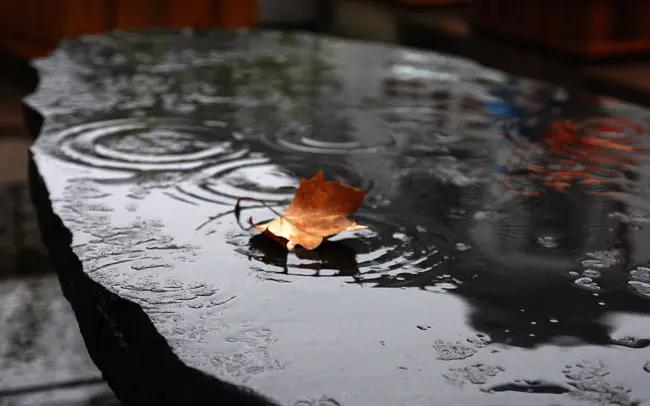 责任与担当老师,教师立德树人使命担当感悟