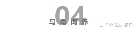 百龟图片,百龟高清图片大全
