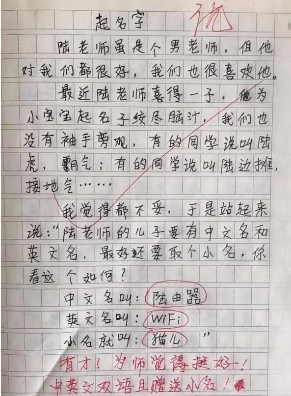 小学生我的理想作文100个字以上,小学作文我的理想作文评语