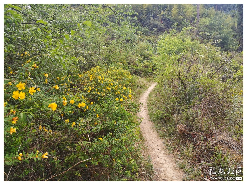 昆明大墨雨村攻略,昆明团结镇大墨雨村一日游