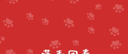 猫咪乳腺溃烂会自己好吗,猫咪乳腺有结节病变