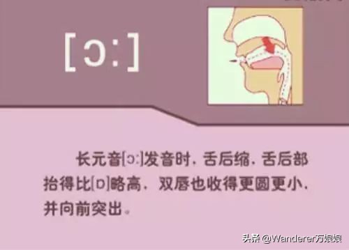 英语48个音标发音附详细图解,音标发音48个正确发音讲解视频