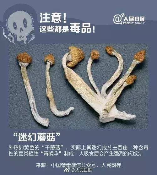 新型毒品要警惕,新型毒品来袭警惕