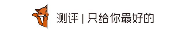 铲屎官减肥瘦身,吐毛球的铲屎官